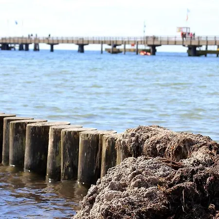 Strandpark Seeanemone Im Haus Windrose 11 * Großenbrode